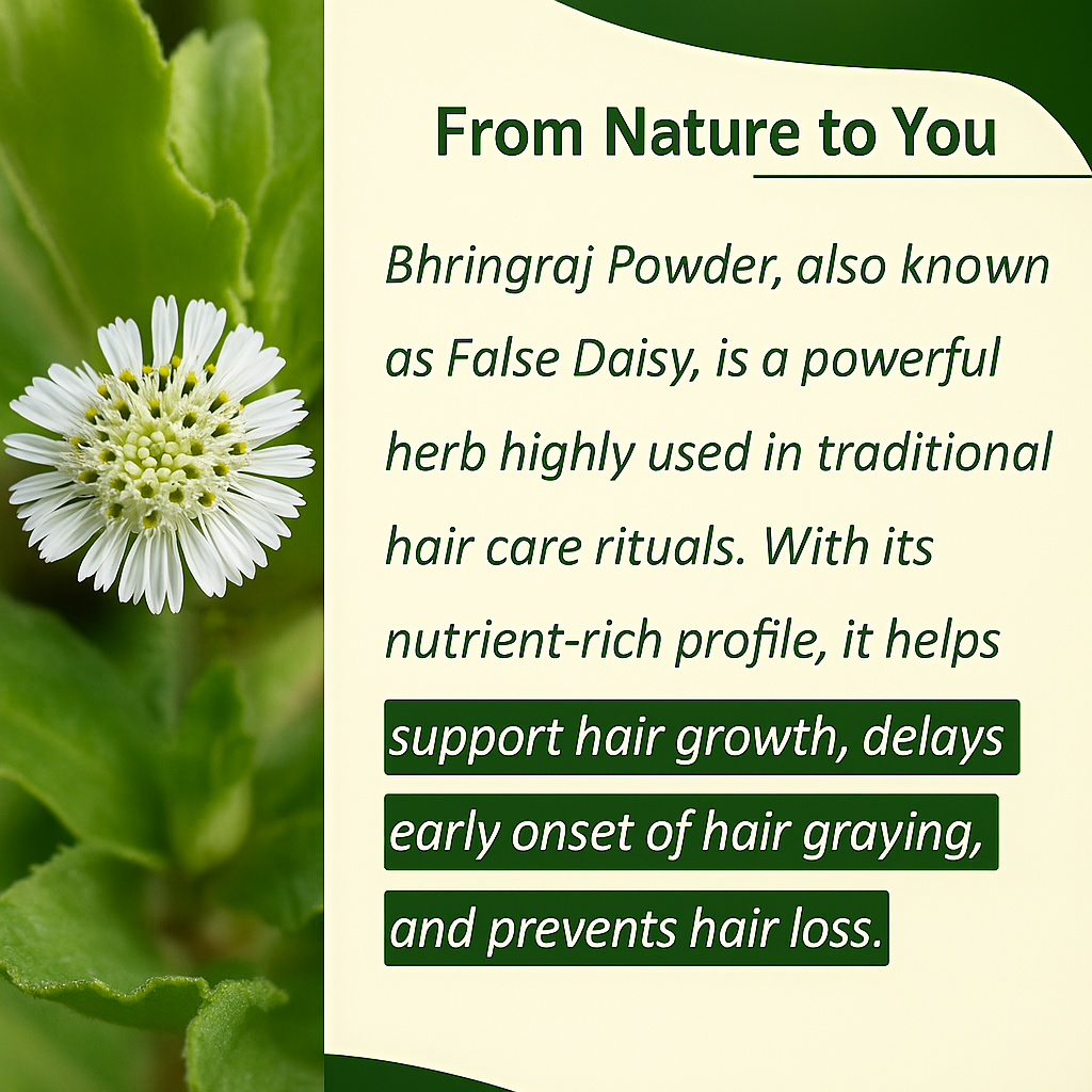 Bhringraj Powder