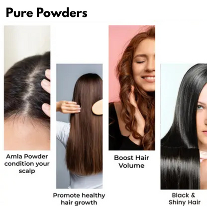 Natural Amla, Reetha, Bhrinjraj, Shikakai & Hibiscus Powder combo for hair (50 grams each) 250 gm