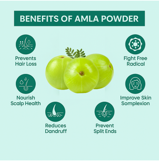 Amla Powder